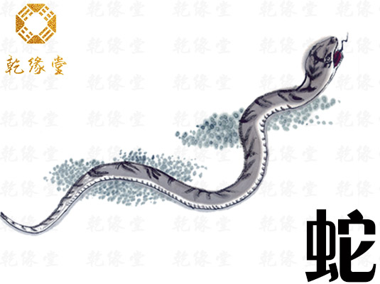 巳蛇.jpg